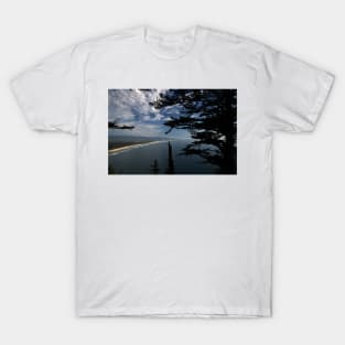 850_6380 T-Shirt